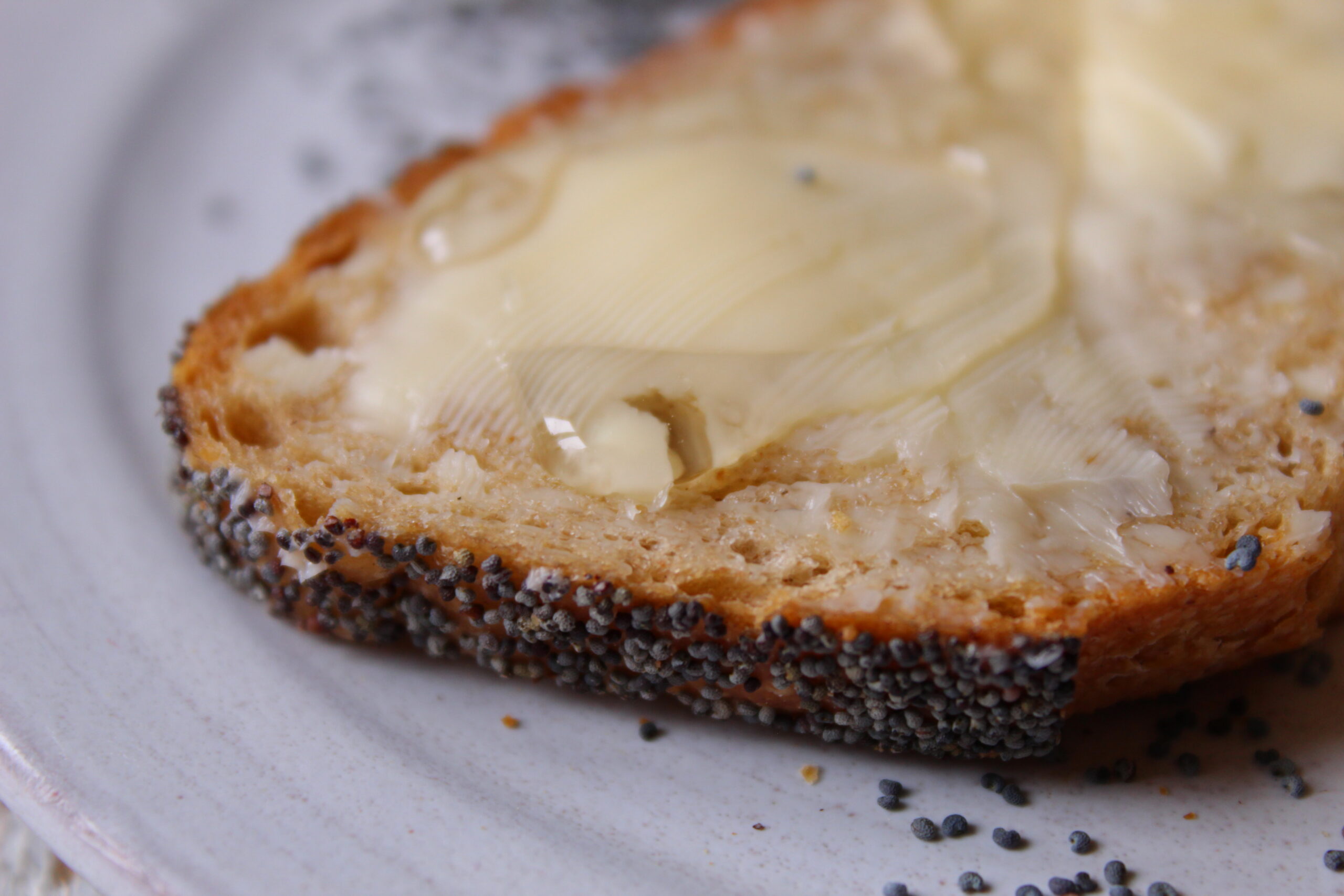 tartine en conscience