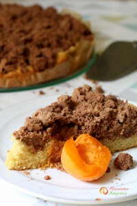 gateau abricot sans gluten