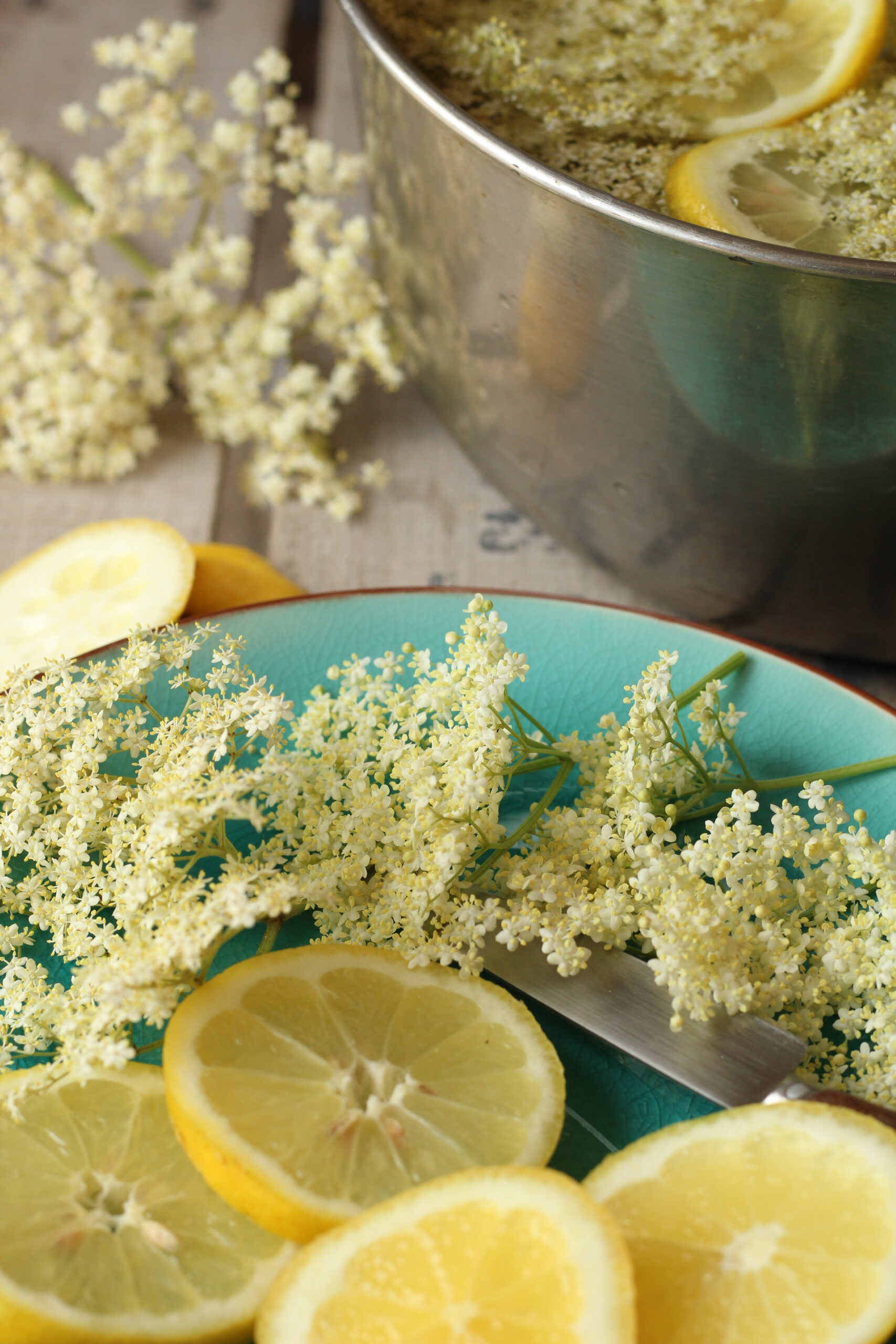 sirop de fleur de sureau
