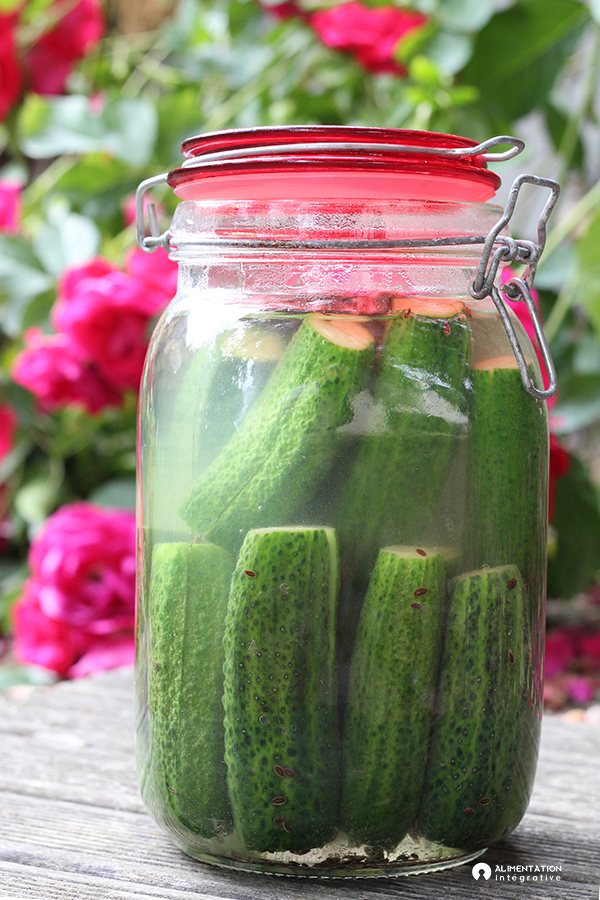 Cornichons lacto-fermentés