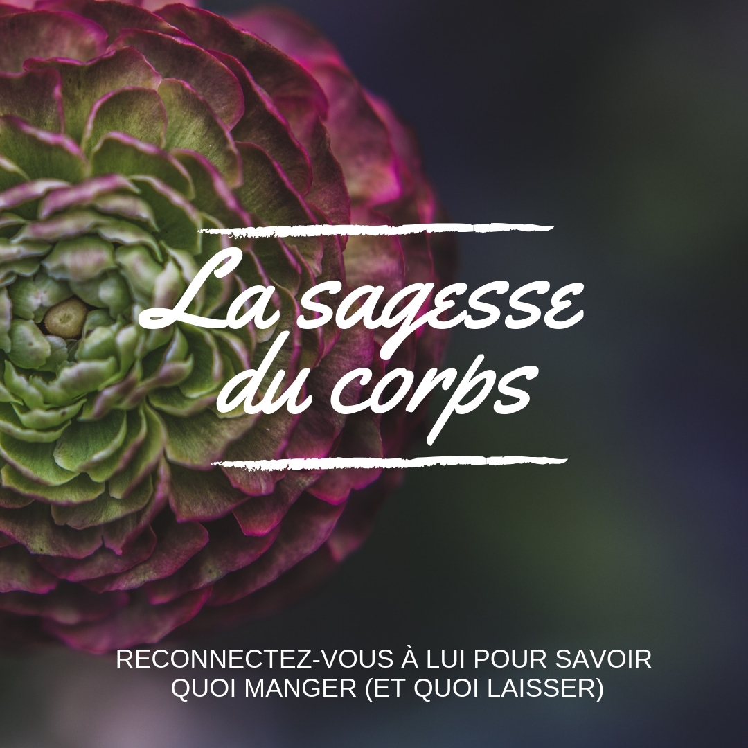 La sagesse du corps -Cours en ligne