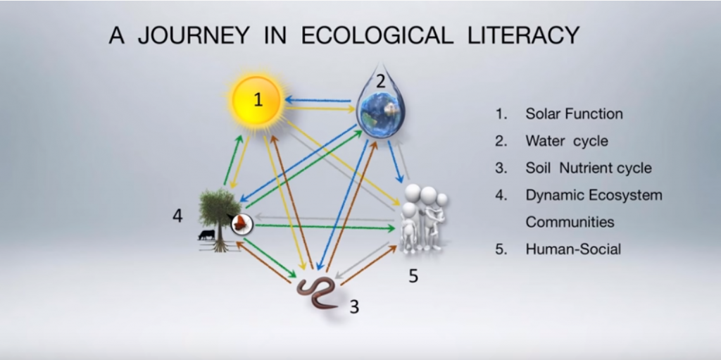 Charles Massy-How regenerative farming can help heal the planet and human health