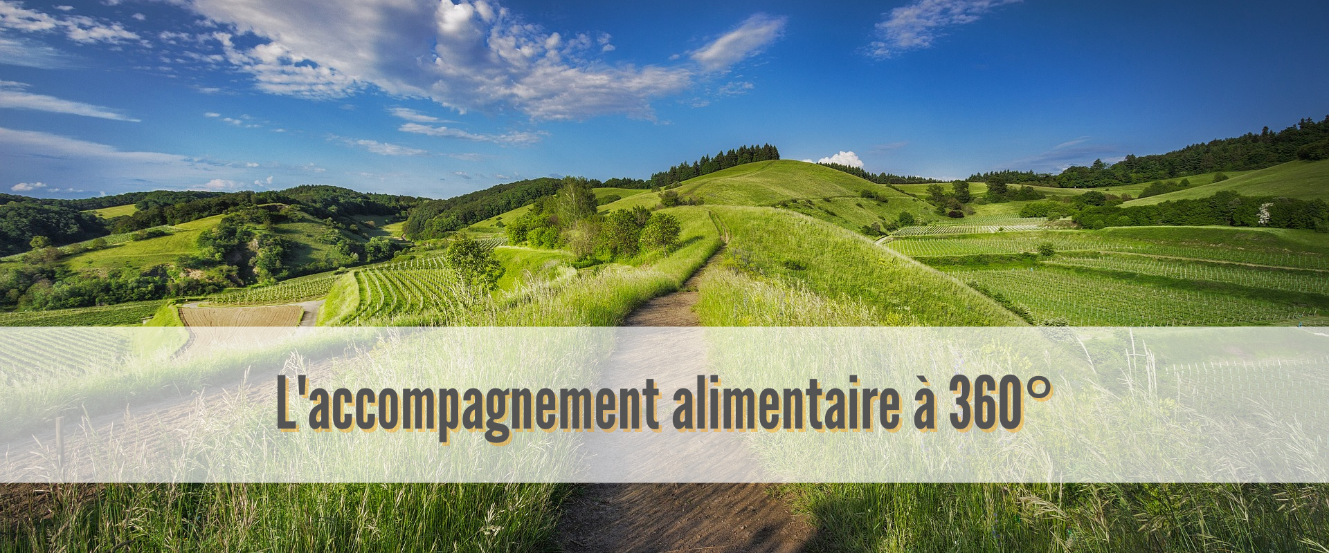 Alimentation Intégrative - Thérapie Alimentaire- Gabriella Tamas