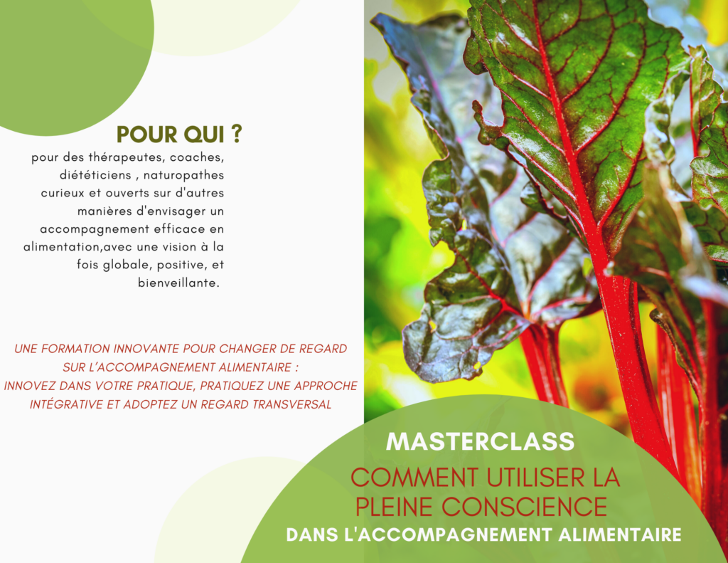 Masterclass Pleine Conscience