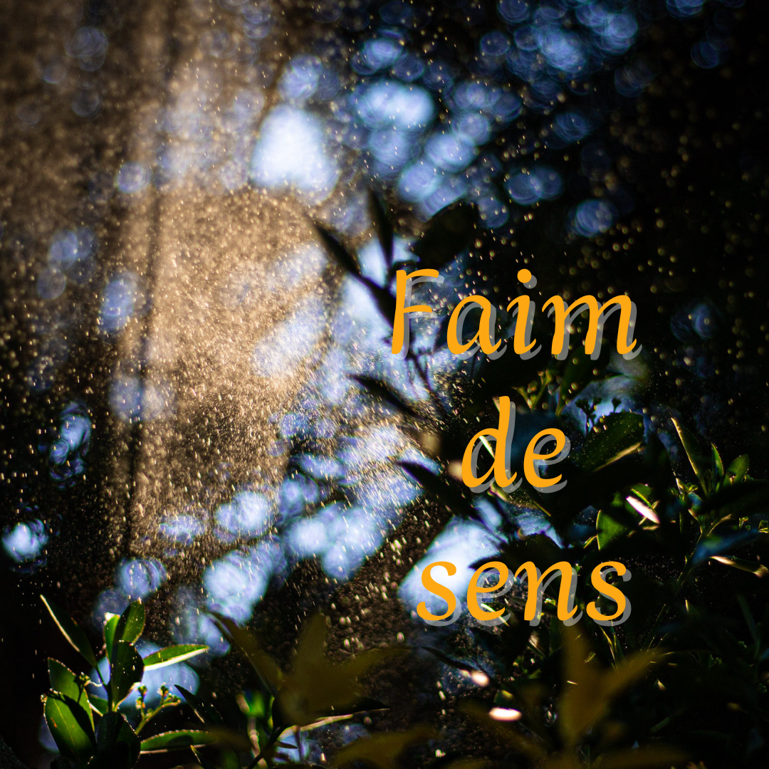 Faim de Sens -la newsletter mensuelle pour savourer la vie