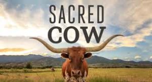 Sacred Cow - le film